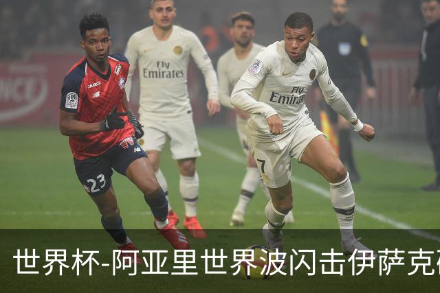 世界杯-阿亚里世界波闪击伊萨克破门 半场瑞典2-1突尼斯